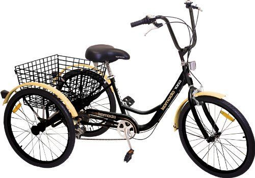 Boomerang recomended bike recumbant adult wheel for Three