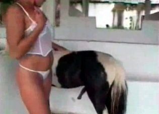 Pony fucking black girl