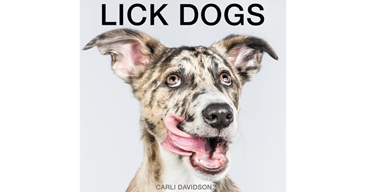 Canine lick gr