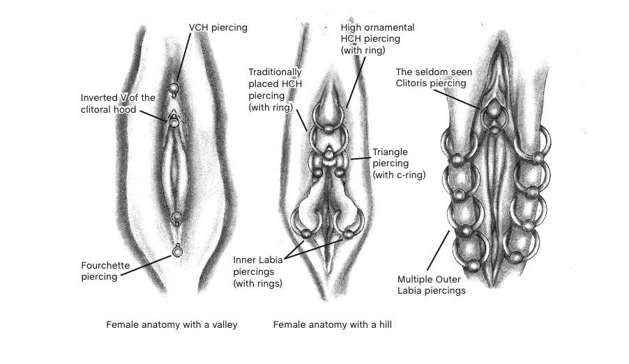 Clitoris hood piercing vertical