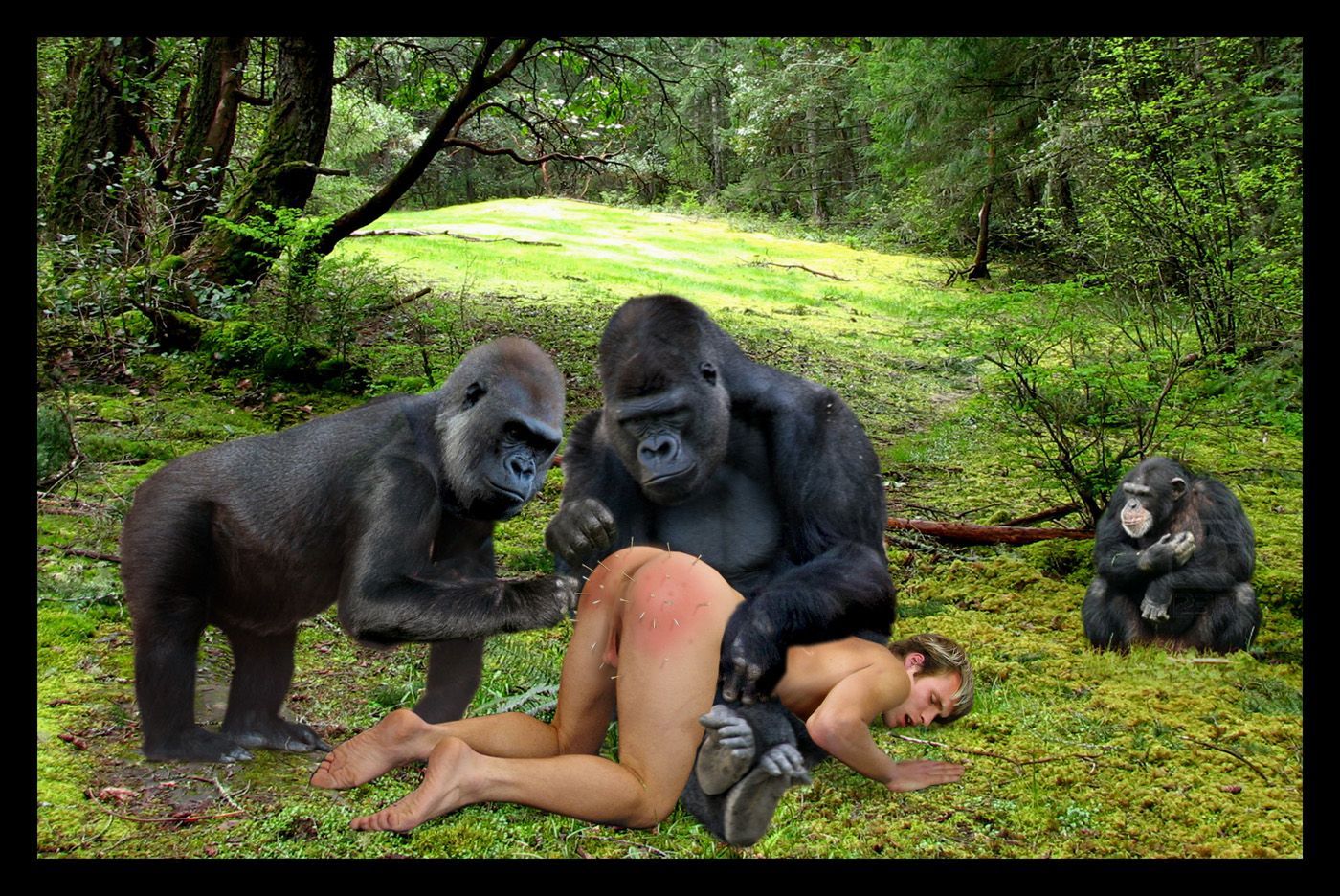 Gorilla and woman porno