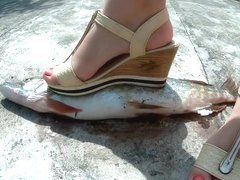 Crush fetish fish heels
