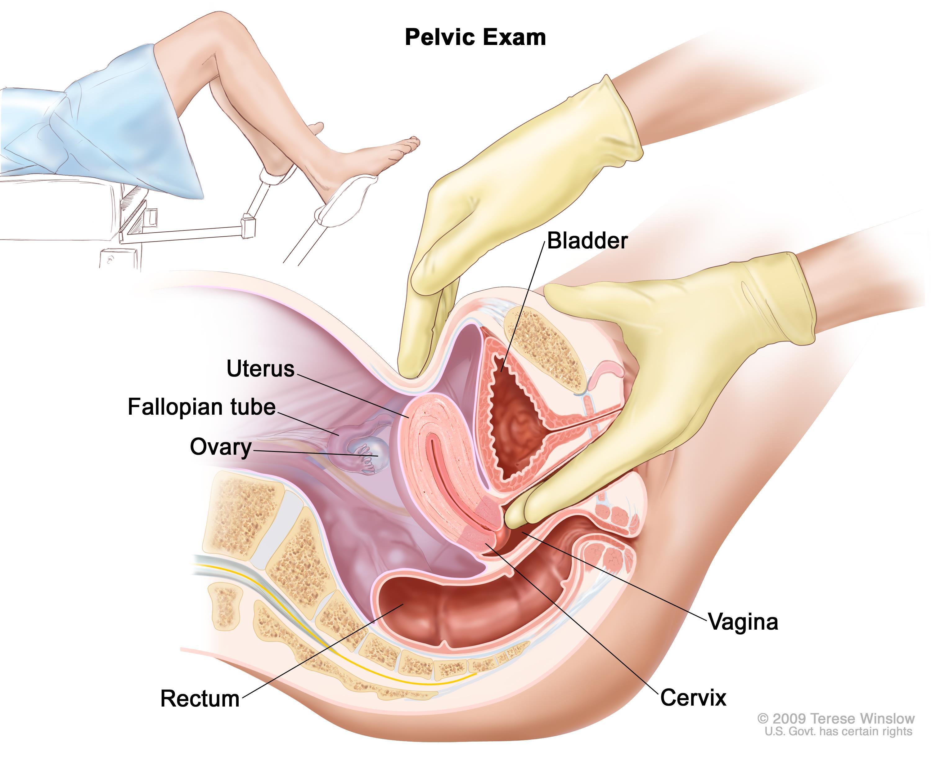 best of Video Hand inside vagina