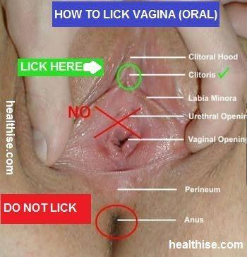best of Pussy How do you lick