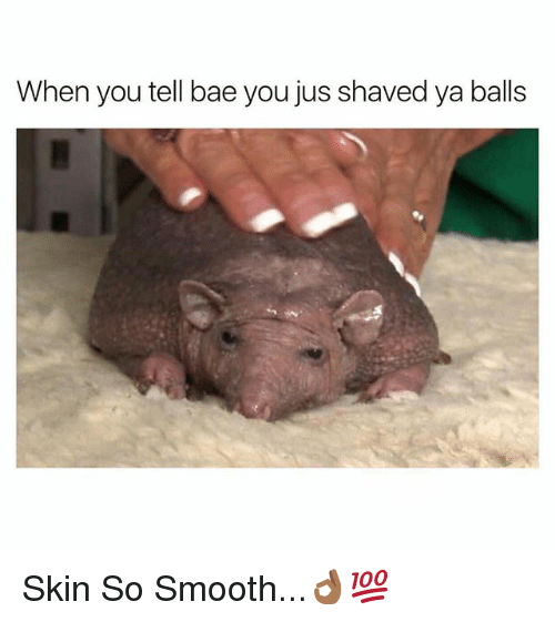 best of Balls Pic shaved