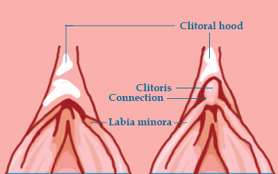 Doctor reccomend Id sensation on clitoris