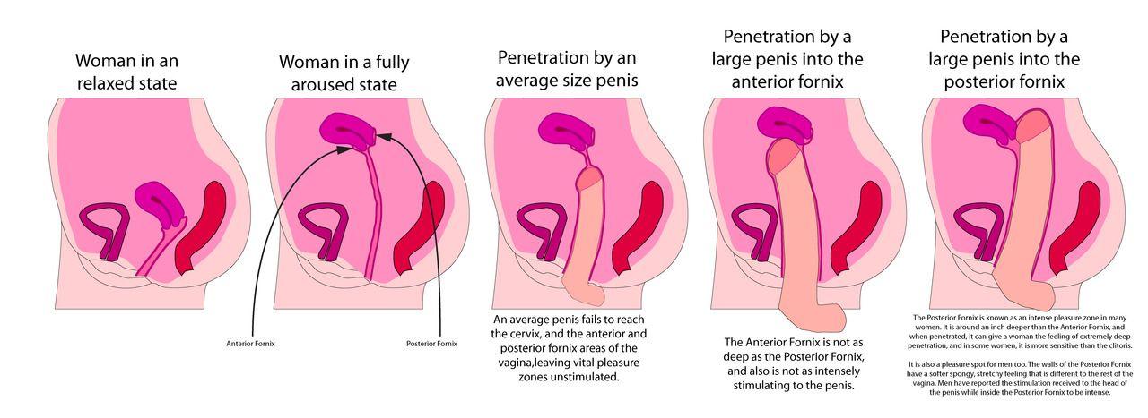 Aqua reccomend Deep penetrations sex positions