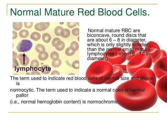 Mature rbc cellular hemoglobin content