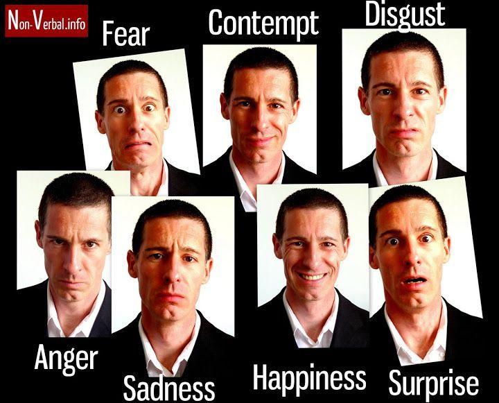Captain R. reccomend 7 facial expressions of emotion