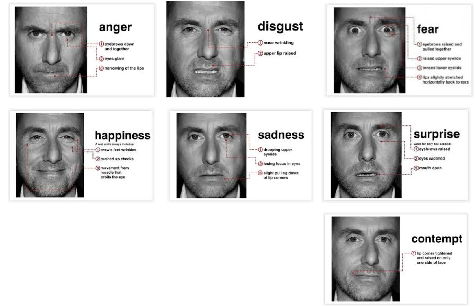 Split /. S. reccomend 7 facial expressions of emotion