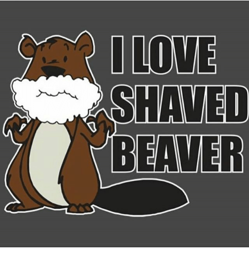 best of Shaved Beaver canadian