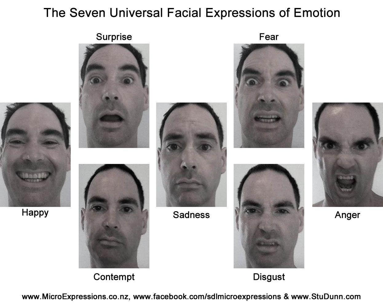 Spike reccomend 7 facial expressions of emotion