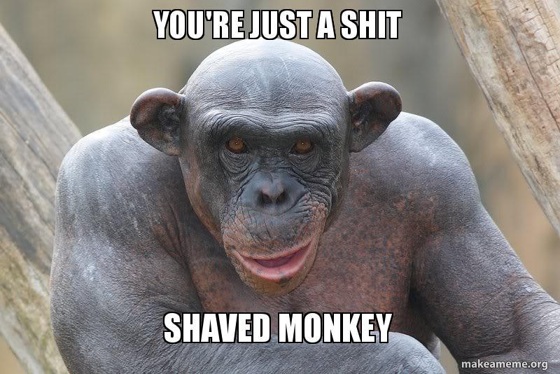 Pretty shaved ape