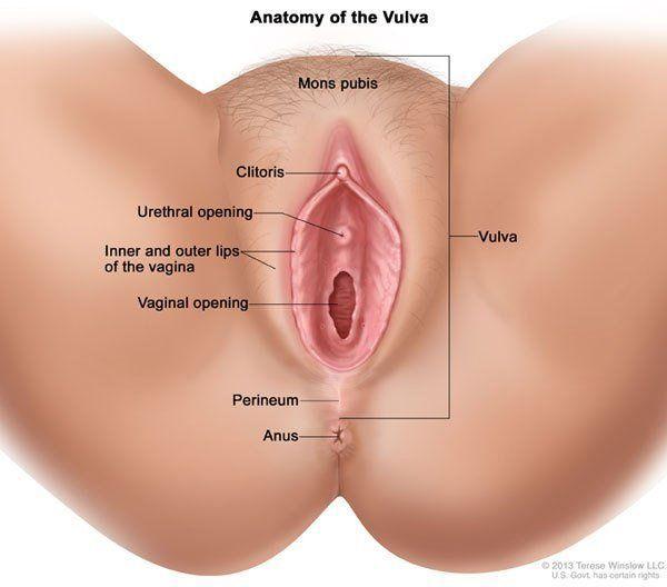 best of Vagina to holes have many I