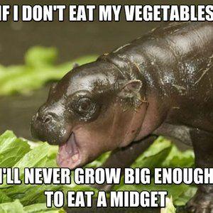 Creature reccomend By eaten hippo midget
