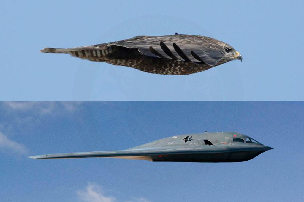 Supersonic bomber b