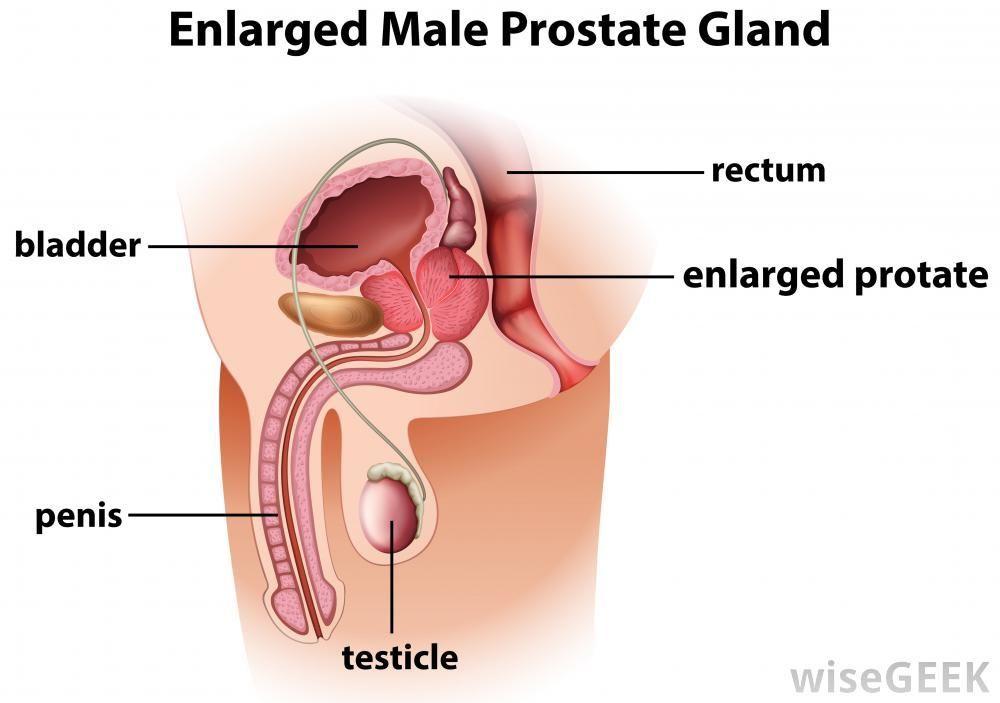 Husky reccomend Prostate male multiple orgasm