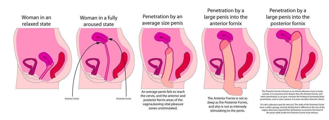 Pancake reccomend Deep penetration sex positions