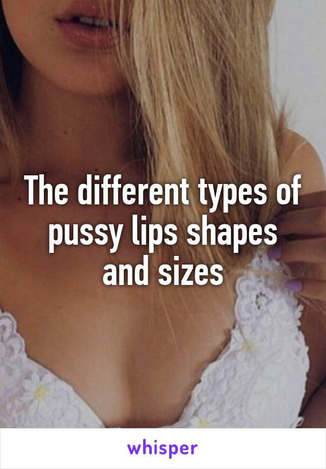 best of Lips Different pussy