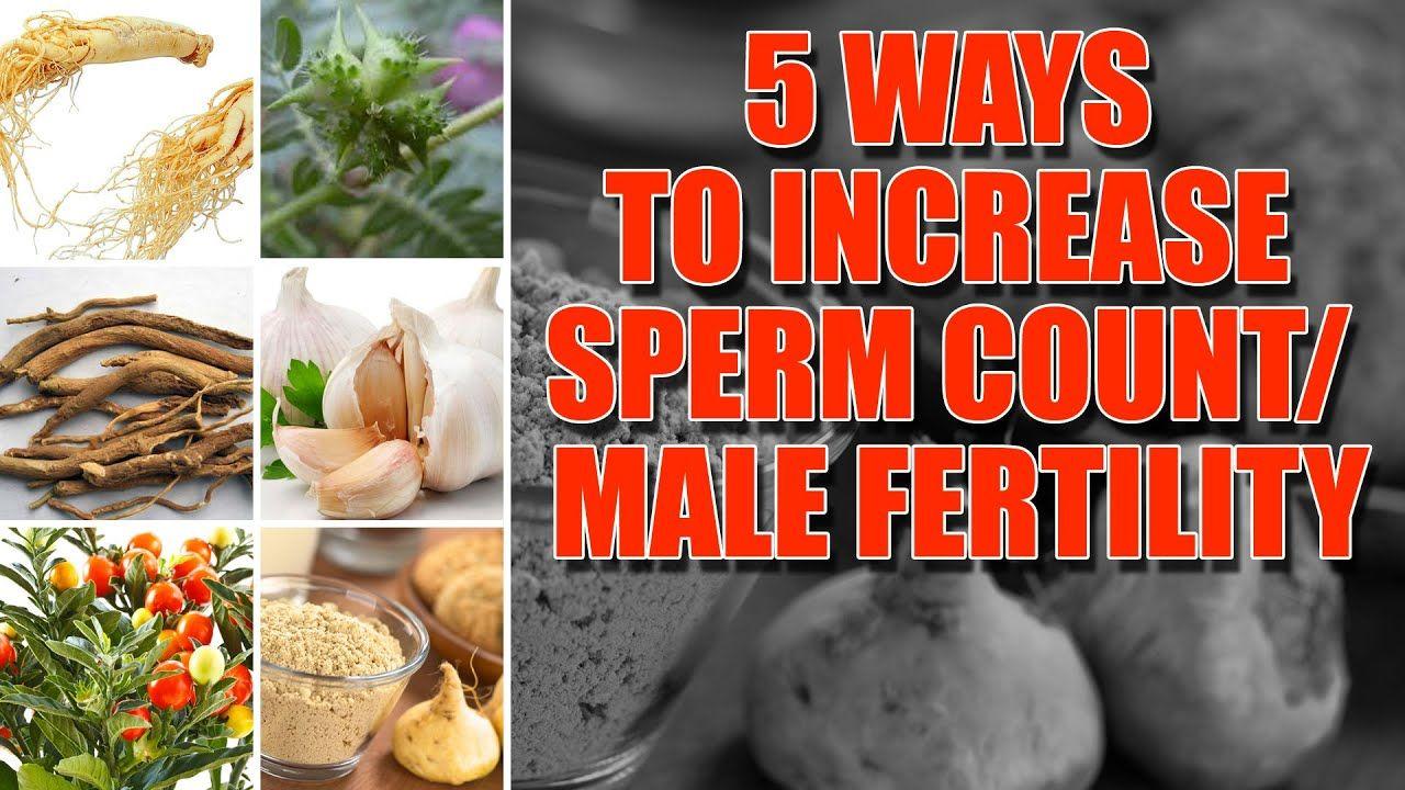 Food to increase sperm motility