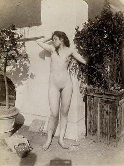 Dandelion reccomend 1890 s nude prints