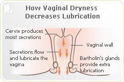 Ferrari reccomend Dry vagina lubrication