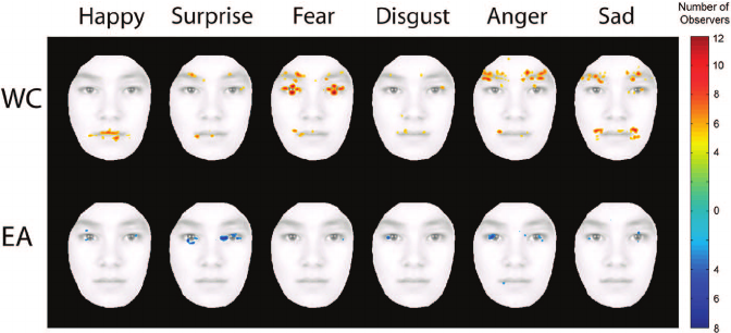 Facial expressiveness in cultures