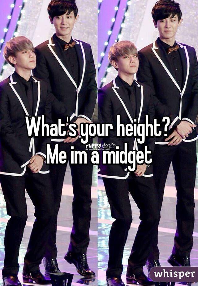 best of A midget of Height