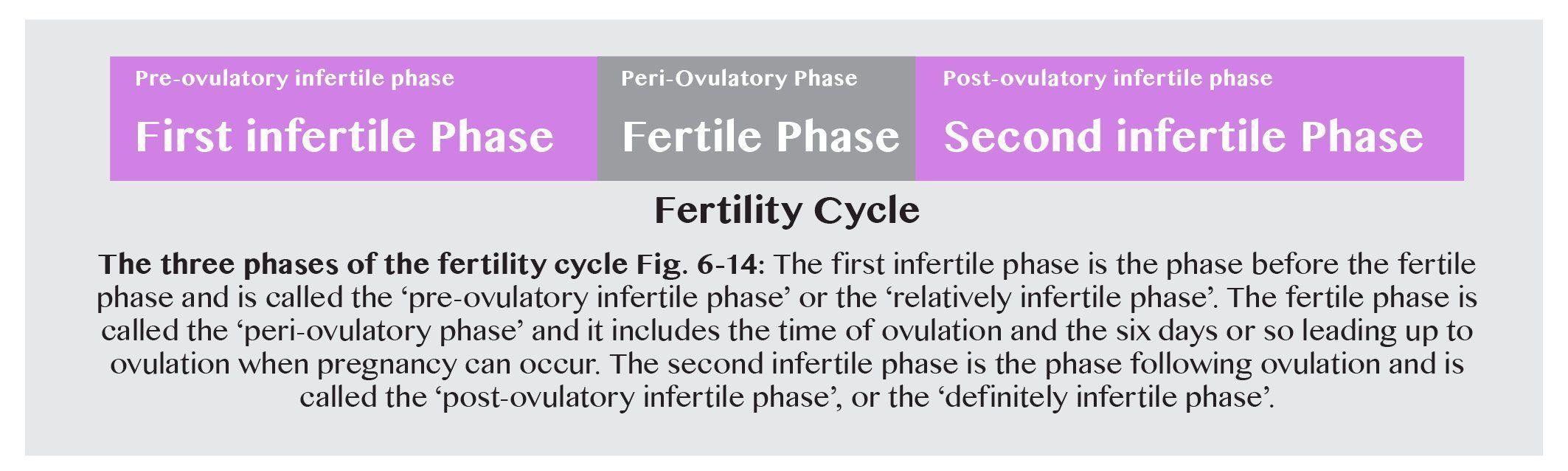 best of Sperm is How fertile long