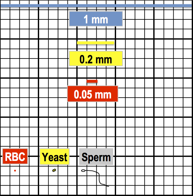 Sperm count and hemocytometer