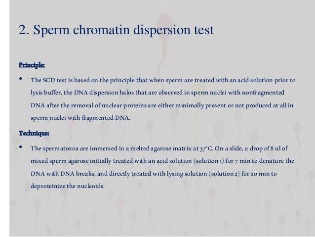 best of Sperm chromatin Testing